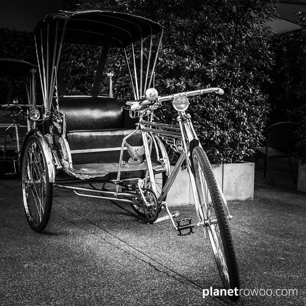 Ping Nakara Cycle Rickshaw