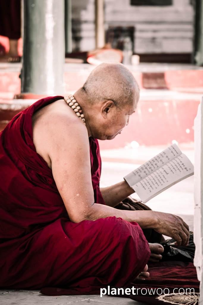 A Buddhist monk reading scripture at the Shwedagon Pagoda