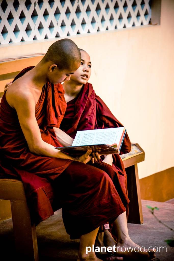 Young novice monks reading