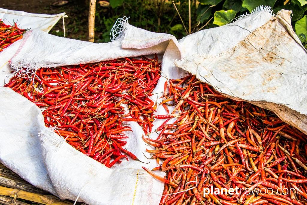 Red chillies drying at the side of the road in the Kalaw mountains