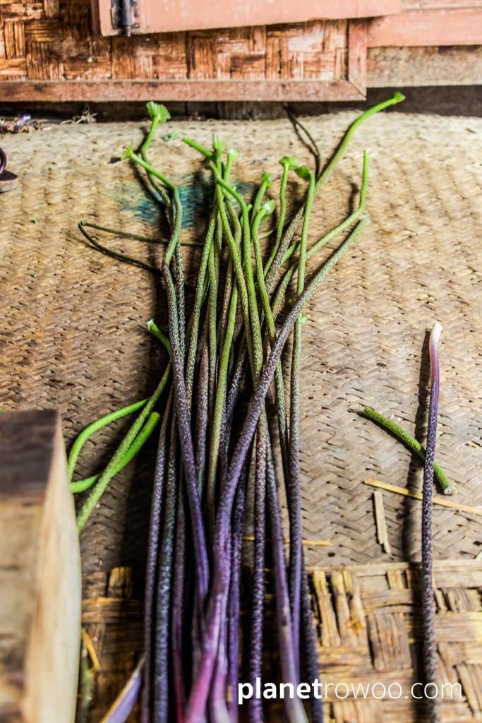 Lotus plant stems, Inpawkhone weaving village