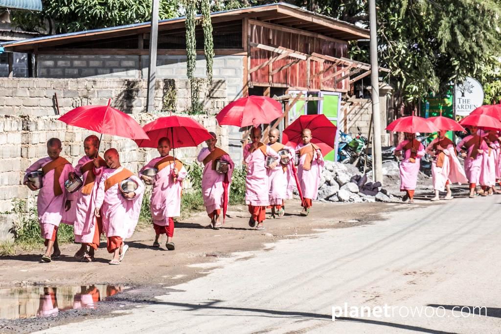 Nyaung Shwe nuns with alms bowls and umbrellas