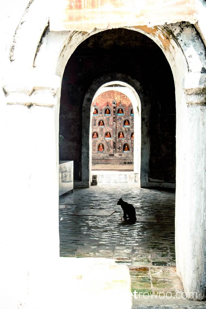 A cat sits in the cool of the Shwe Yan Pyay shrine