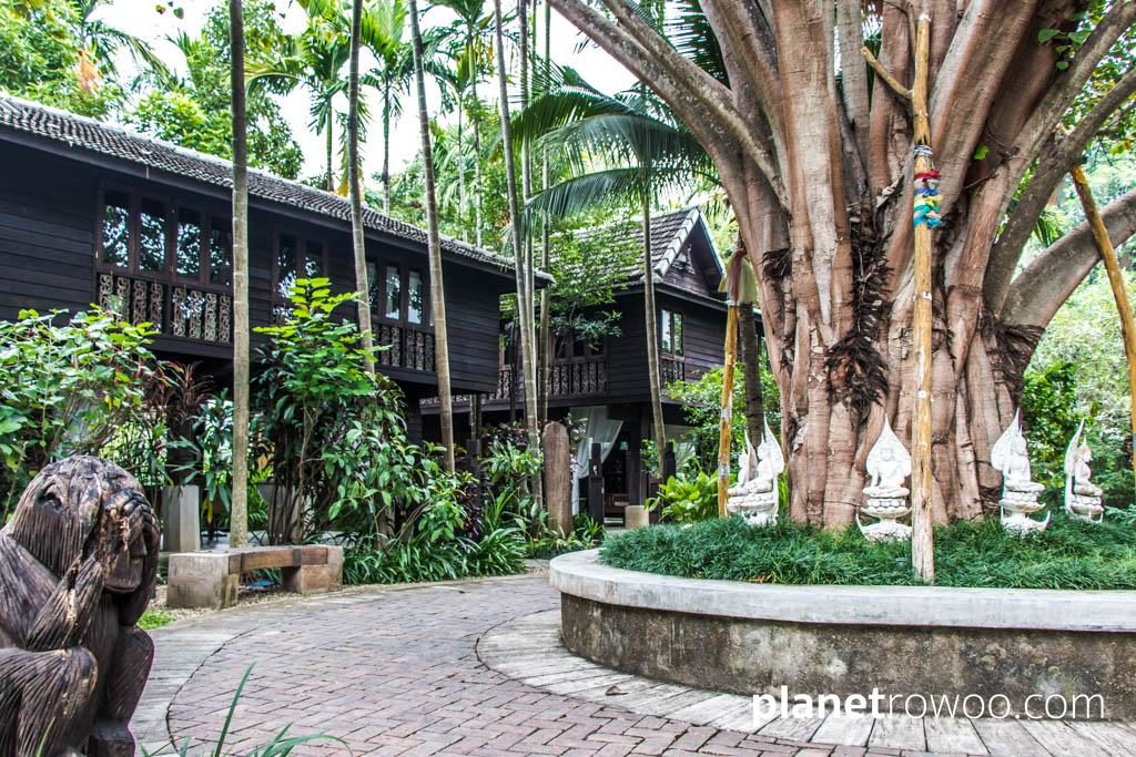 Bodhi tree and Rice Barn Villas at the Marndadee