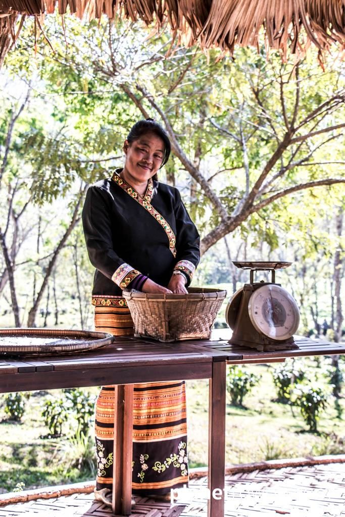 Tea roaster at Araksa Tea Plantation