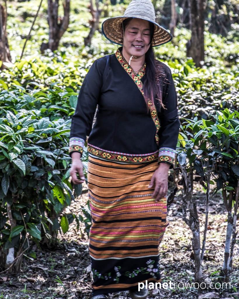 Araksa Tea Plantation Chiang Mai