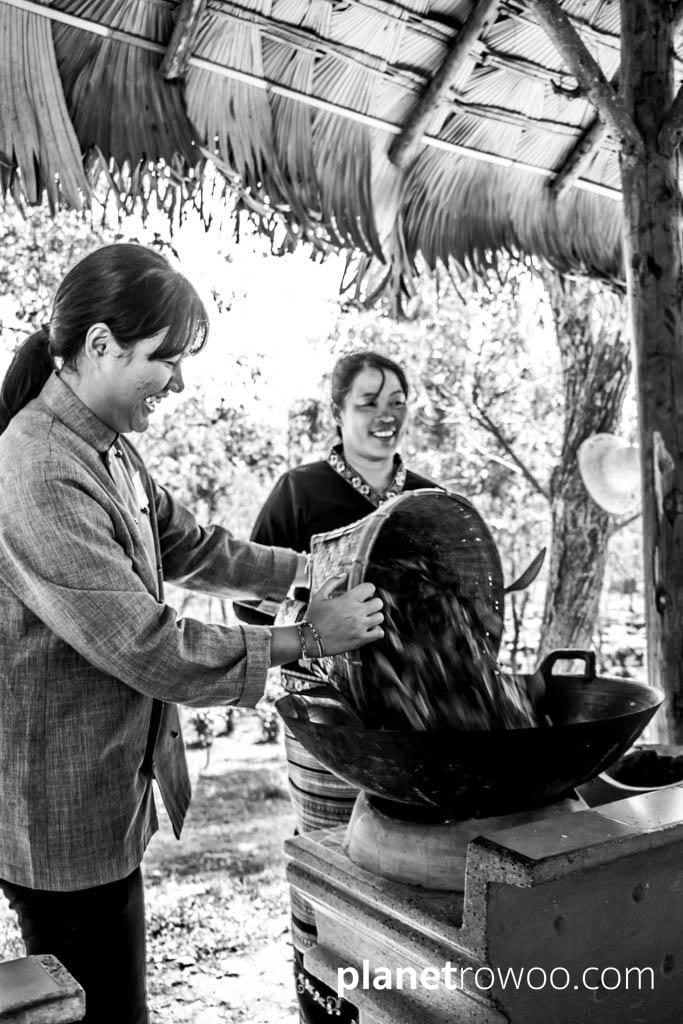 Araksa Tea Plantation Chiang Mai