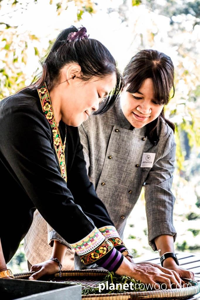 Araksa Tea Plantation Chiang Mai