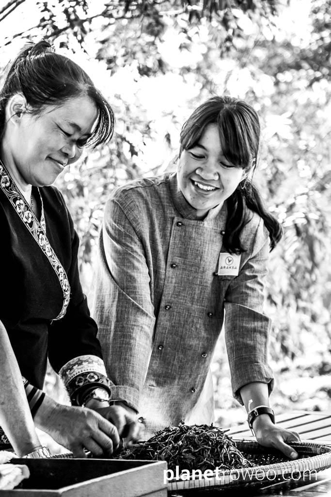 Araksa Tea Plantation Chiang Mai