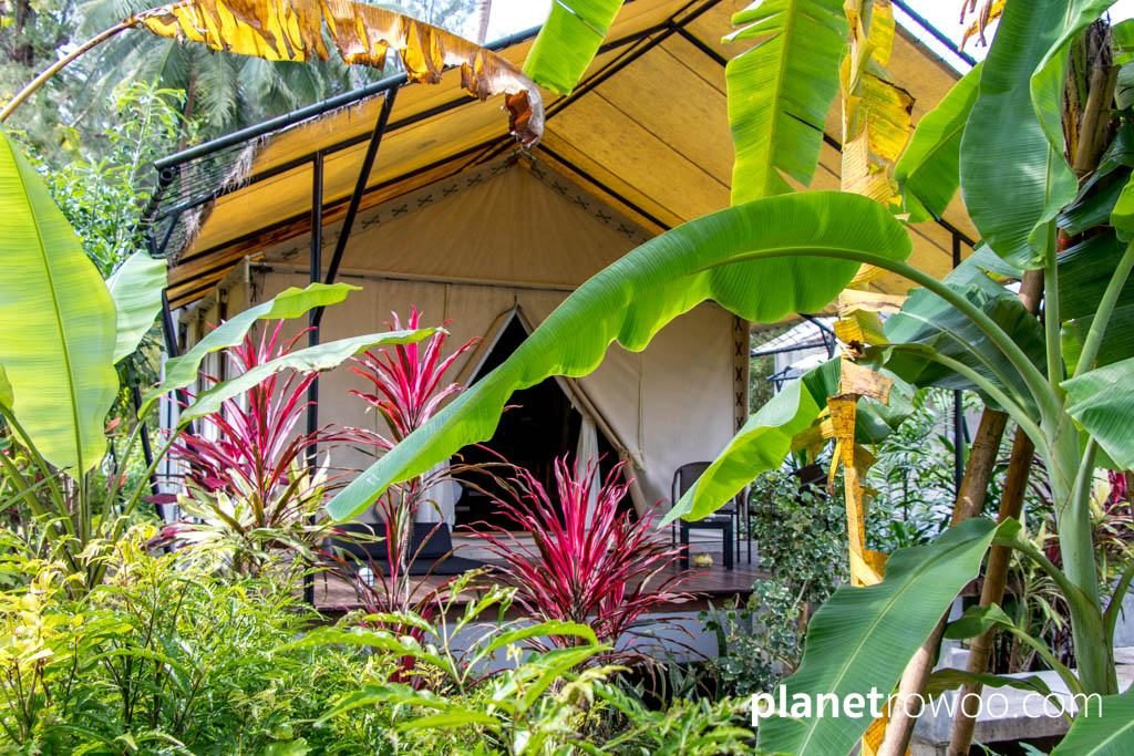Tented Villa through the foliage at Haadson Resort