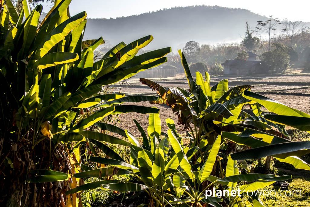 View across the valley at dawn from the veranda at Lisu Lodge