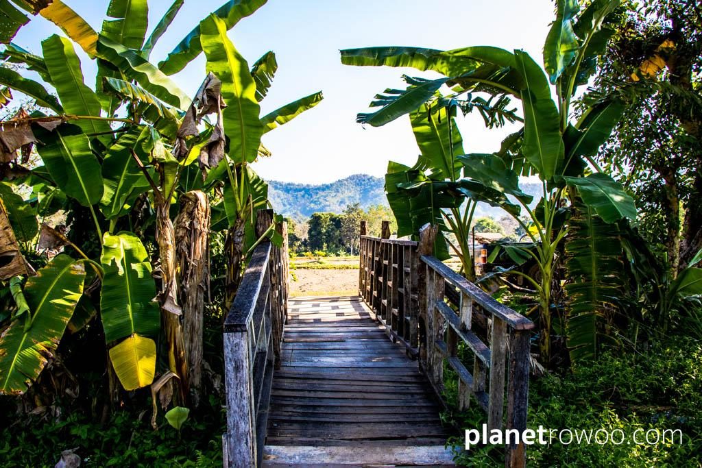 Footbridge in the grounds at Lisu Lodge