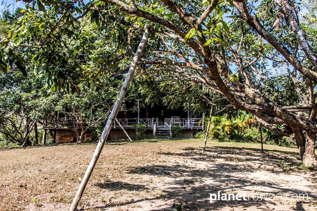A lodge hidden in the foliage at Lisu Lodge