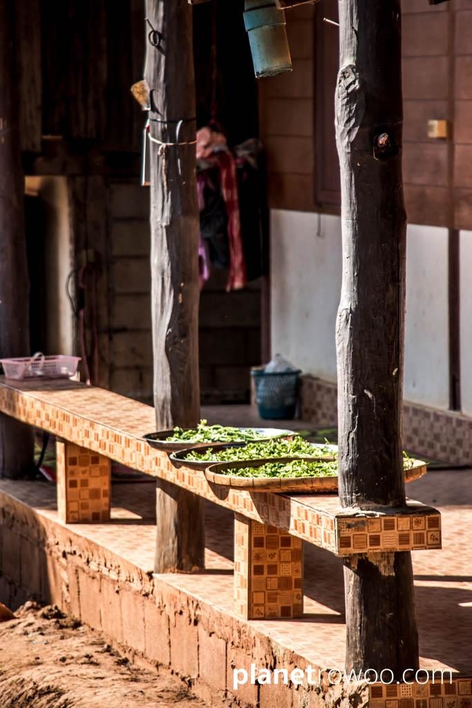 Herbs drying in the sun