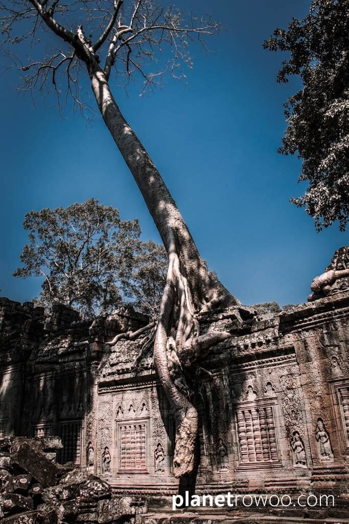 Preah Khan, Siem Reap, Cambodia