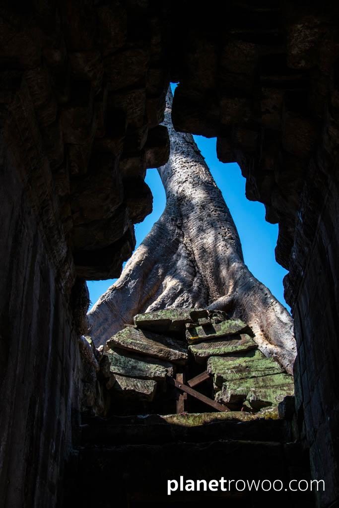 Preah Khan, Siem Reap, Cambodia