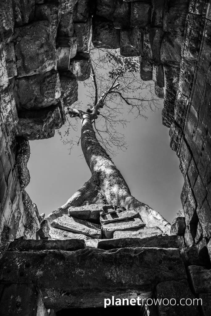 Preah Khan, Siem Reap, Cambodia