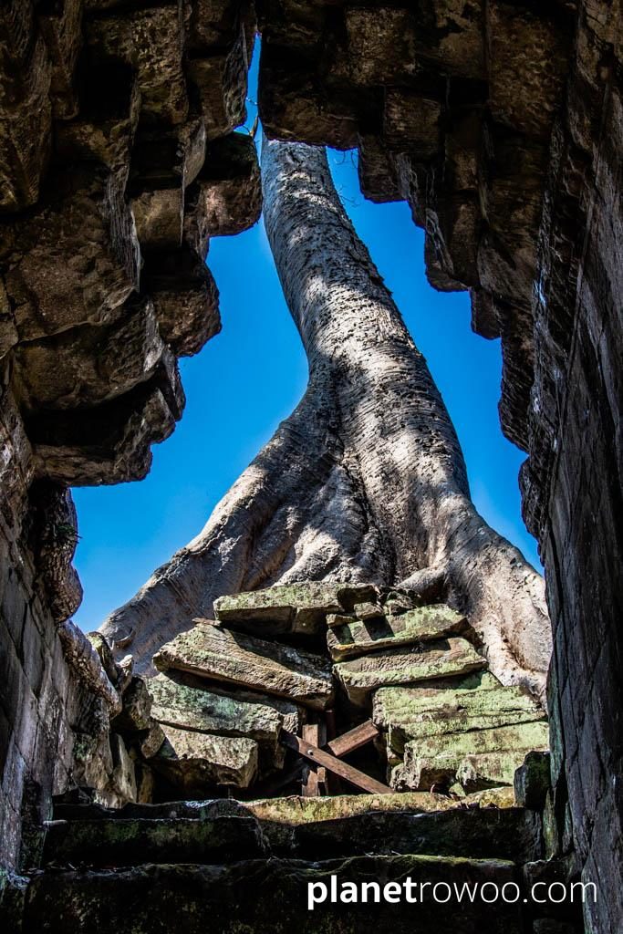 Preah Khan, Siem Reap, Cambodia