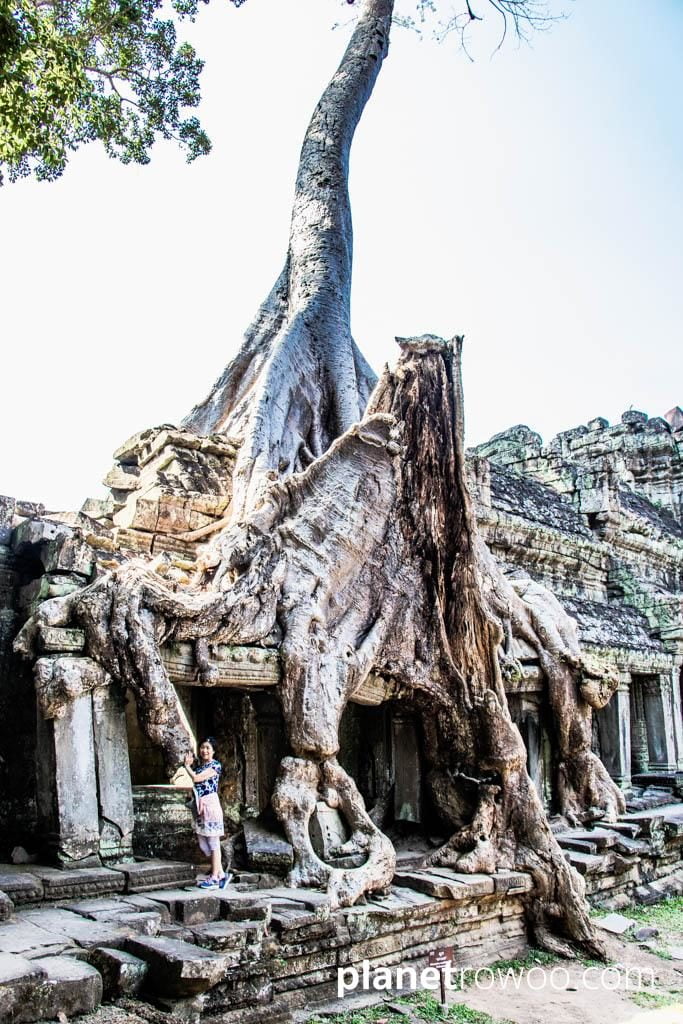 Preah Khan, Siem Reap, Cambodia