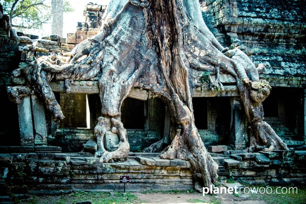 Preah Khan, Siem Reap, Cambodia
