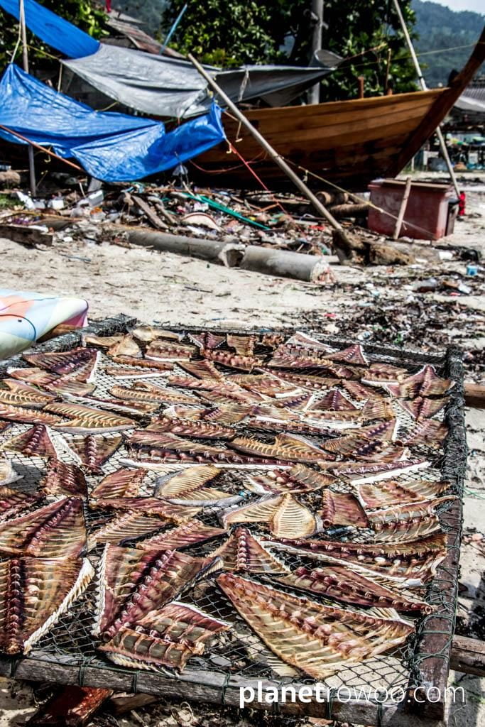 Hua Thanon Fishing Village, Koh Samui