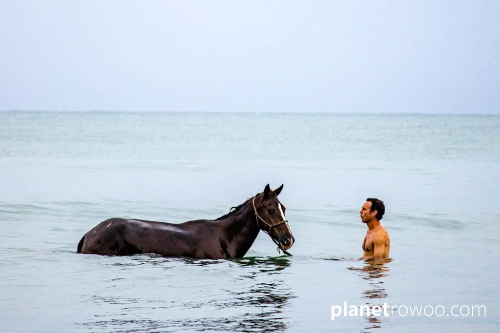 Colts Polo & Riding on Khuk Khak beach, Khao Lak, Thailand