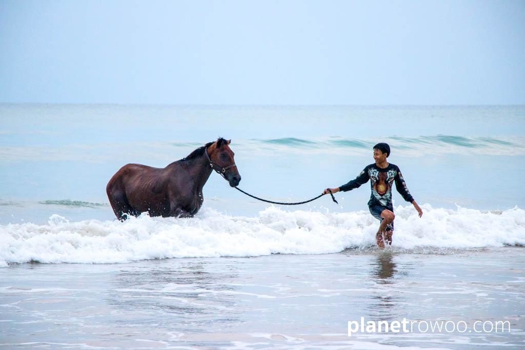 Colts Polo & Riding on Khuk Khak beach, Khao Lak, Thailand