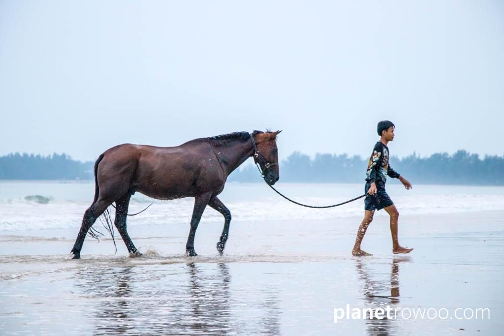 Colts Polo & Riding on Khuk Khak beach, Khao Lak, Thailand