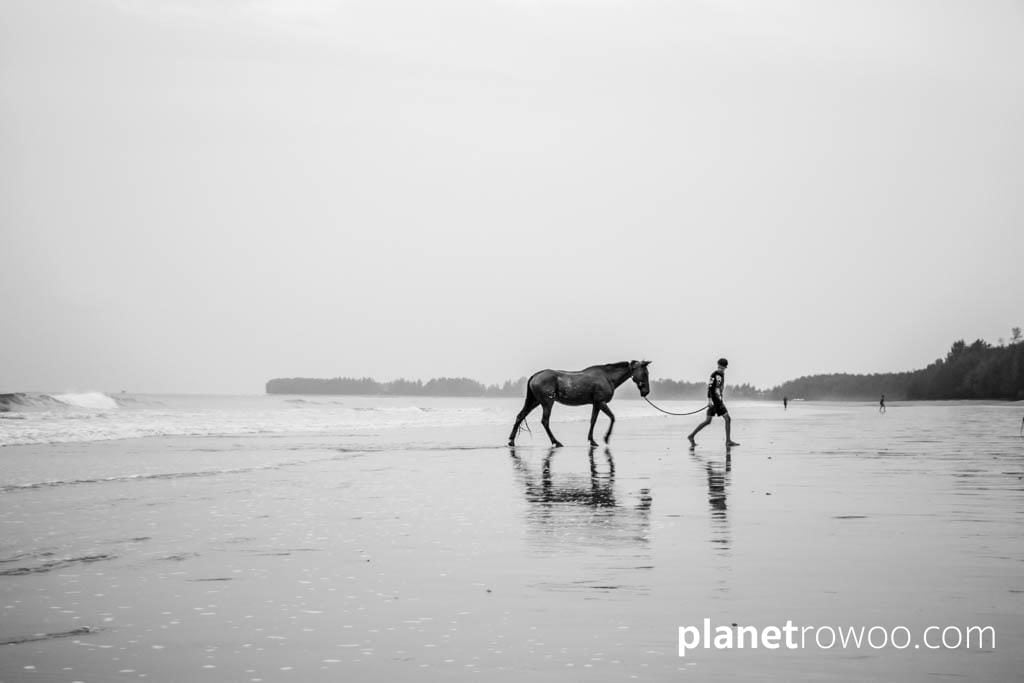 Colts Polo & Riding on Khuk Khak beach, Khao Lak, Thailand