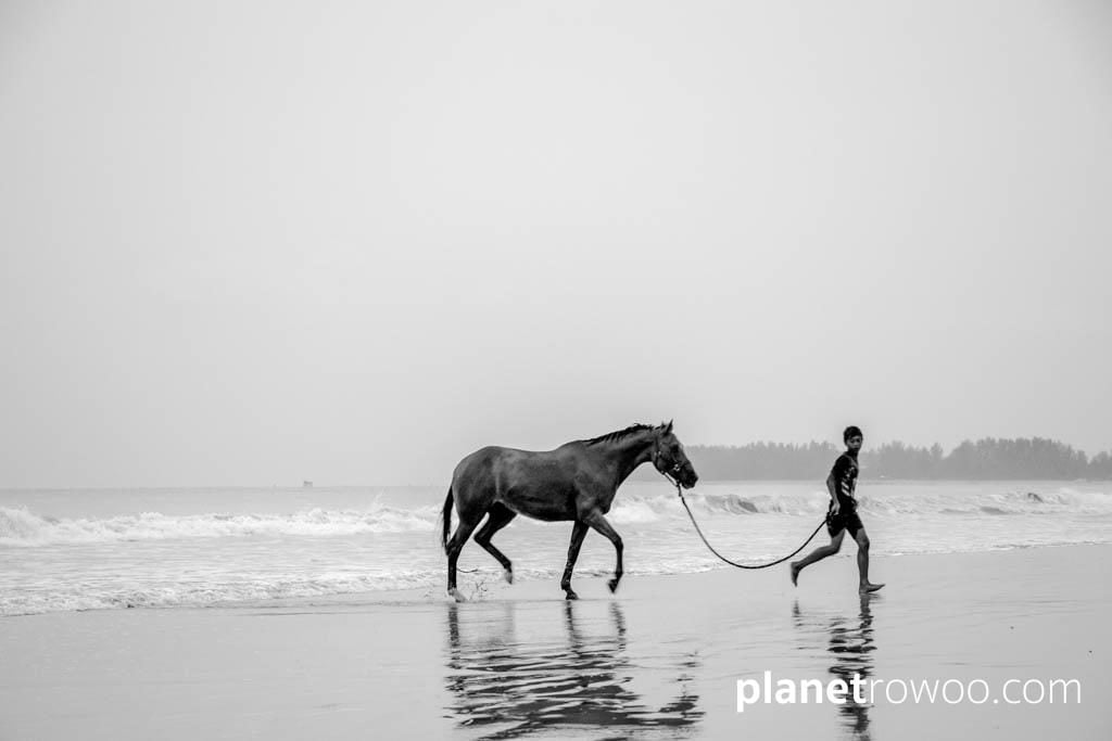 Colts Polo & Riding on Khuk Khak beach, Khao Lak, Thailand