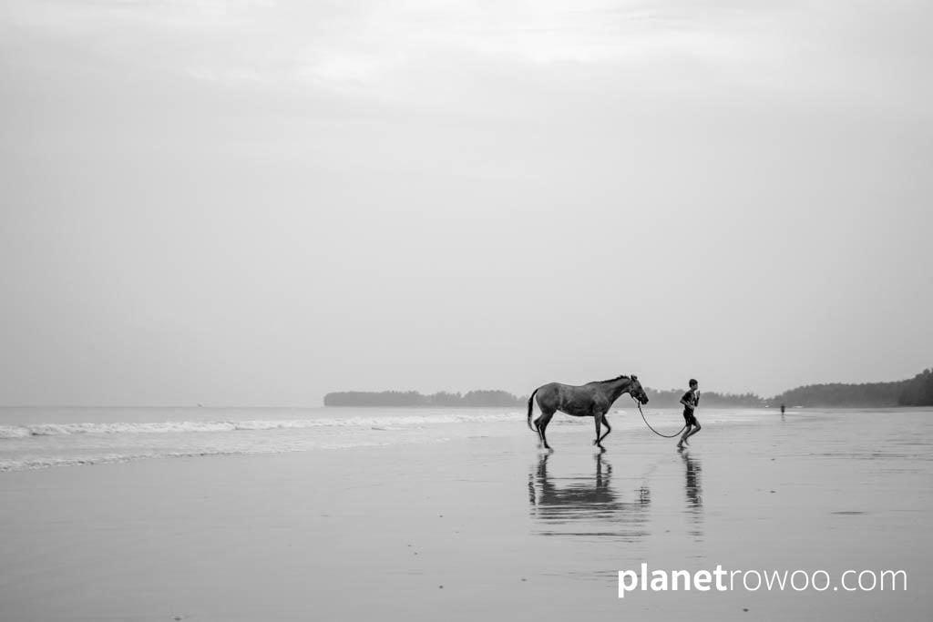 Colts Polo & Riding on Khuk Khak beach, Khao Lak, Thailand