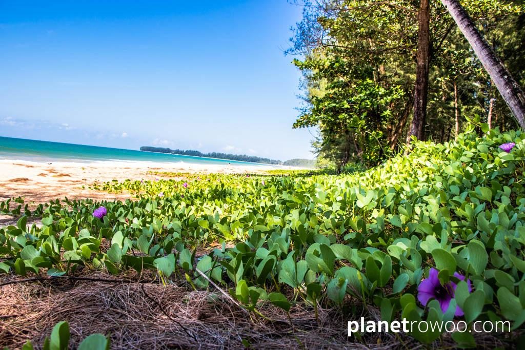 JW Marriott Khao Lak Resort & Spa