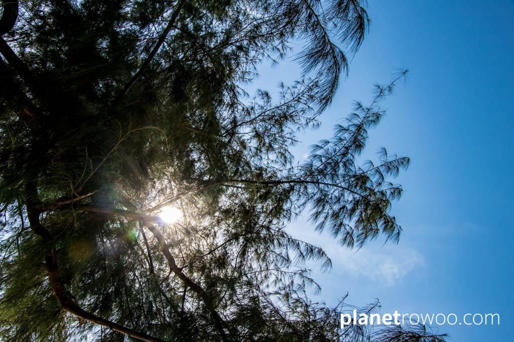 JW Marriott Khao Lak Resort & Spa