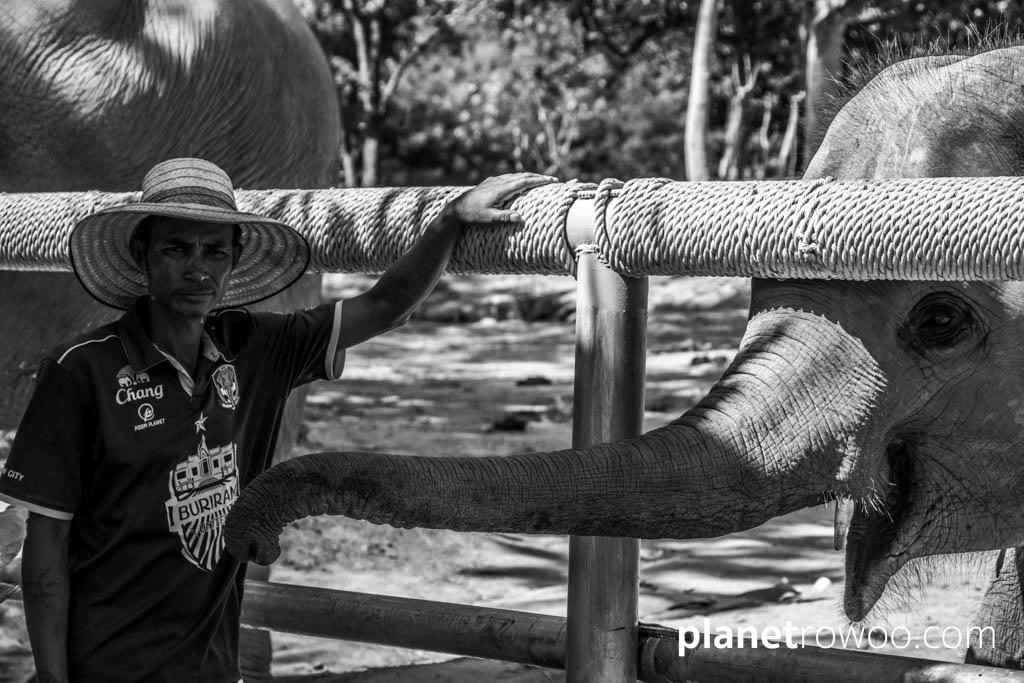 Samui Elephant Sanctuary, Koh Samui, Southern Thailand