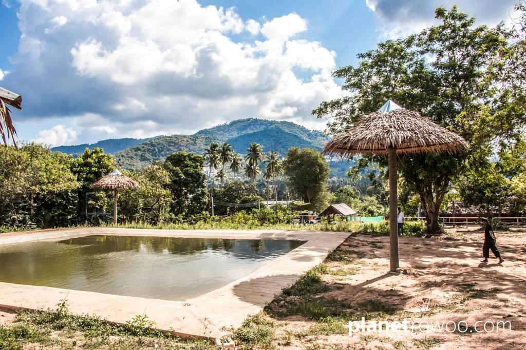 Samui Elephant Sanctuary, Koh Samui, Southern Thailand