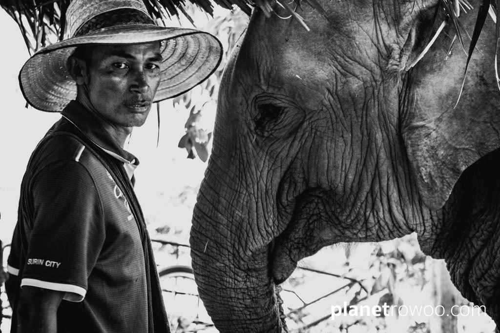 Samui Elephant Sanctuary, Koh Samui, Southern Thailand
