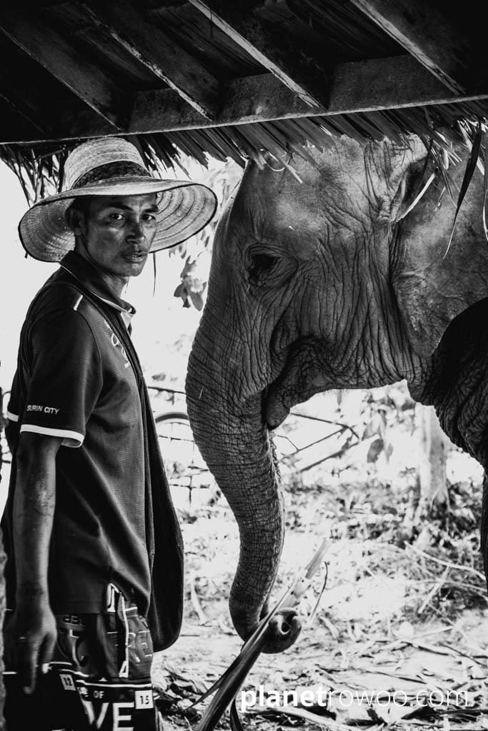 Samui Elephant Sanctuary, Koh Samui, Southern Thailand