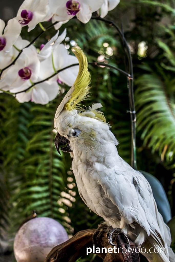 99 The Heritage Hotel, Chiang Mai, Thailand