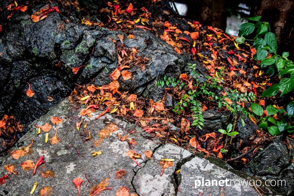 Mount Phousi, Luang Prabang, Laos