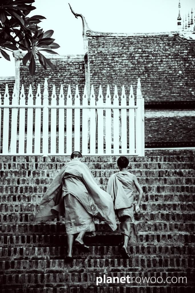 The entrance of Kings – Novice monks climb the broad stairway up to Wat Xieng Thong from the banks of the Mekong, Luang Prabang, Laos