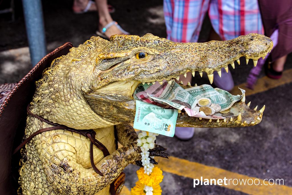 Crocodile leather at Chatuchak Weekend Market